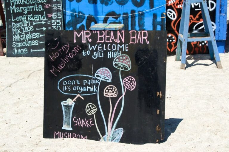 Gili Trawangan, Lombok, Indonesia | SPEEDBOATBALI.com