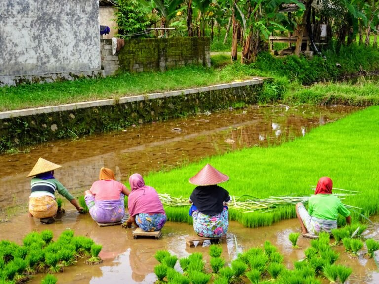 Lombok, Indonesia | SPEEDBOATBALI.com
