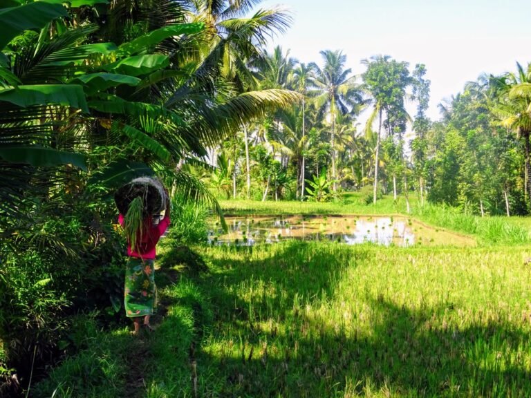 Lombok, Indonesia | SPEEDBOATBALI.com