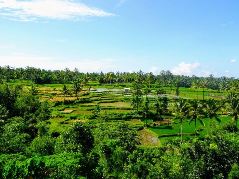 Lombok, Indonesia | SPEEDBOATBALI.com