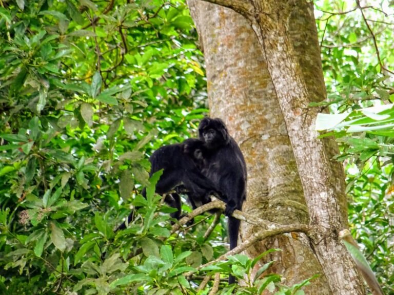 Lombok, Indonesia | SPEEDBOATBALI.com
